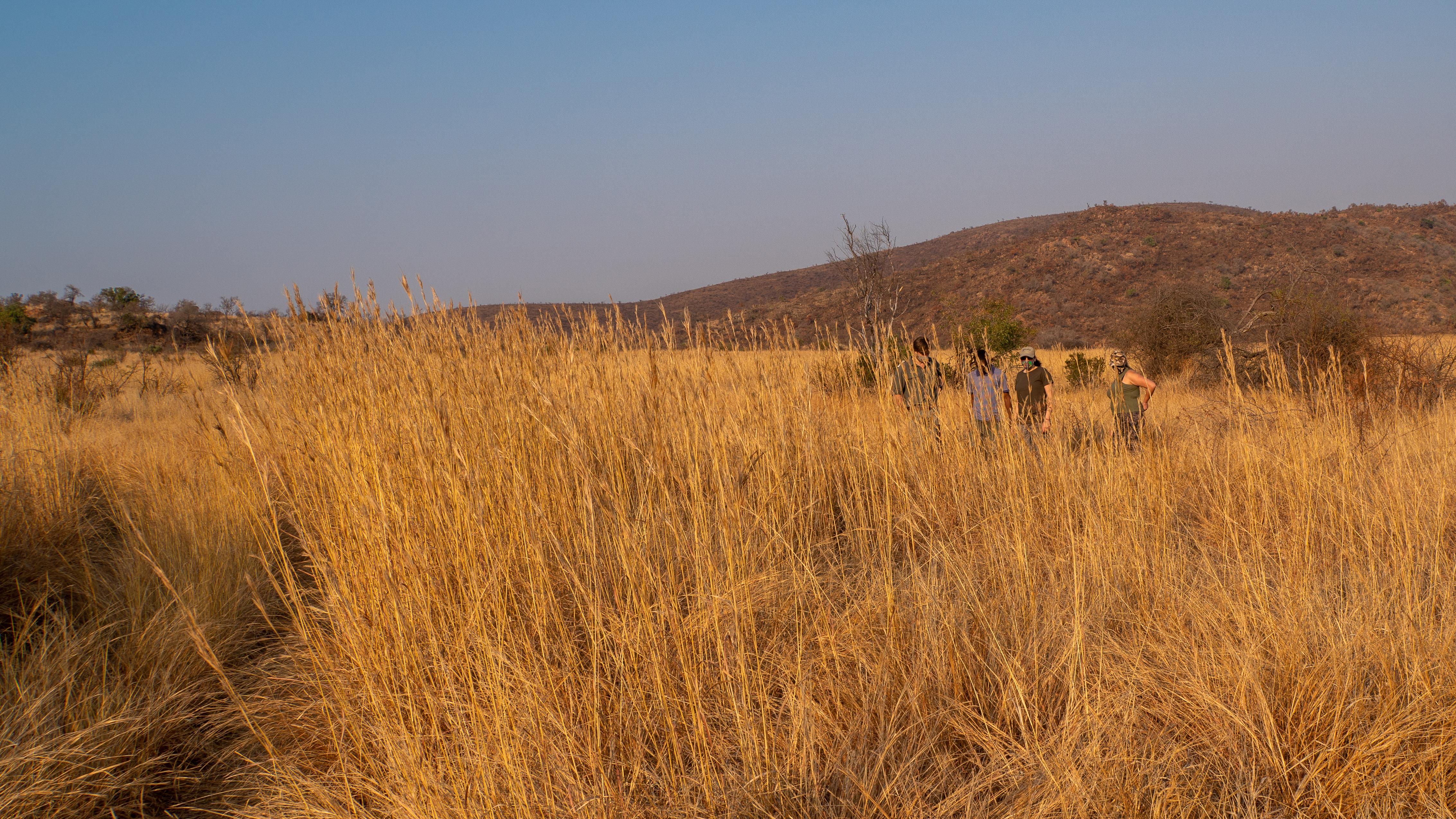 Bakubung Bush Lodge Ledig Exterior photo